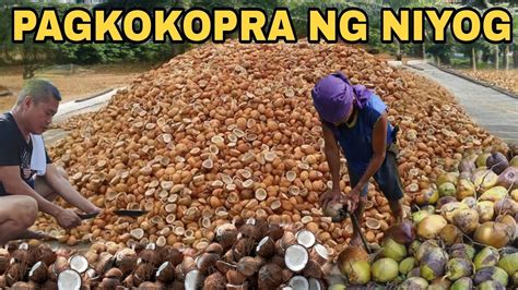 KOPRA (Tagalog).